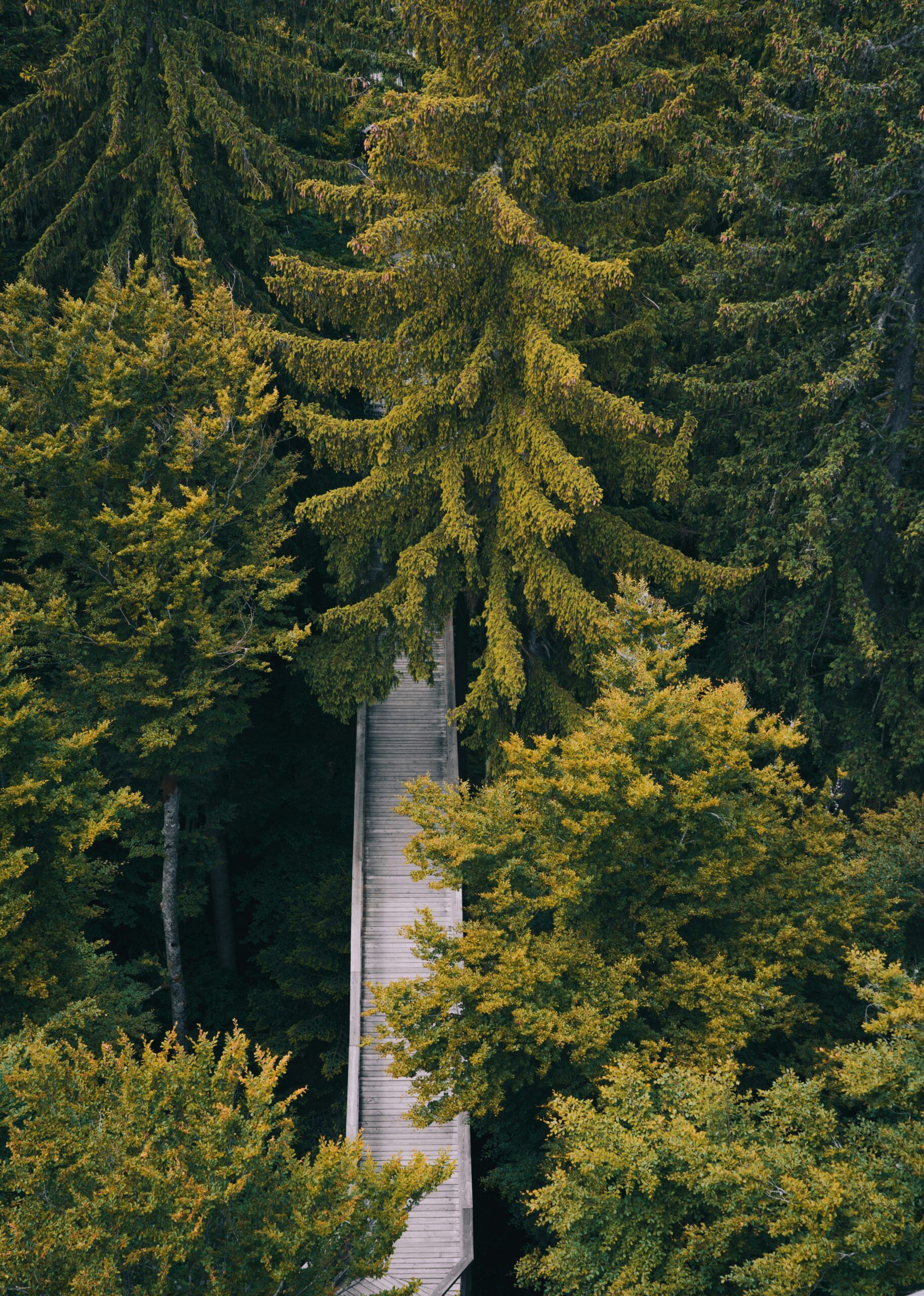 Niederbayern Urlaub Bad Birnbach — Hotel Churfürstenhof Bäderdreieck